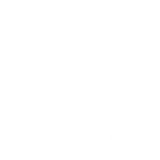 cube maze 3d optical DG0034OPTL