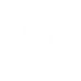 cube checkered 3d optical DG0036OPTL