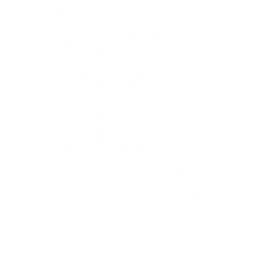 geometric design illusion DG0067OPTL