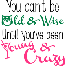 you cant be old and wise until you’ve been young and crazy DG0122SRCS