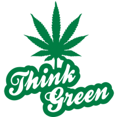 think green DG0159SRCS