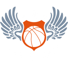 Hawk Basketball Graphic DG0041BBAL