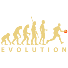 Evolution Basketball DG0088BBAL