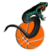 Snake Basketball DG0113BBAL