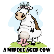 a middle aged cow DG0042BDAY
